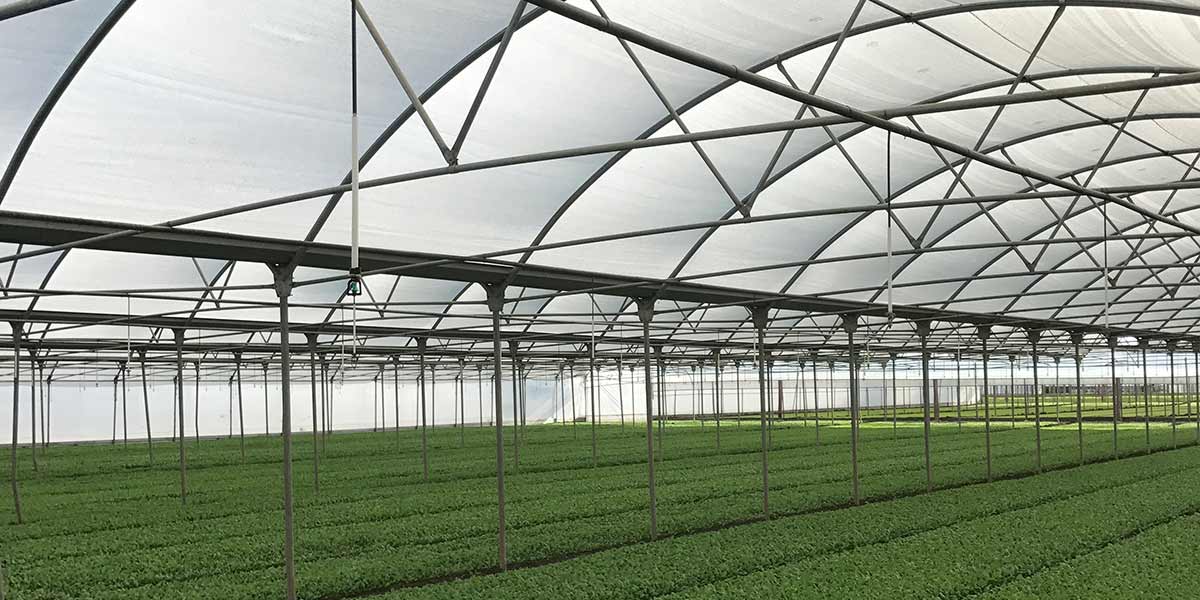 Risparmio idrico e siccità, Arrigoni ha la soluzione